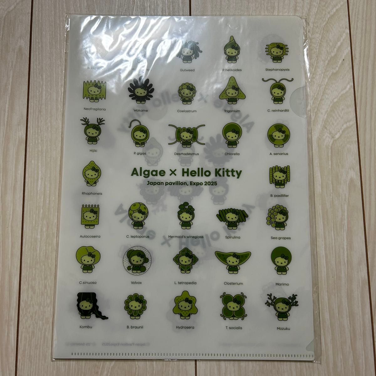 EXPO2025 大阪 関西 万博 2025 日本館 ハローキティ 藻類 クリア