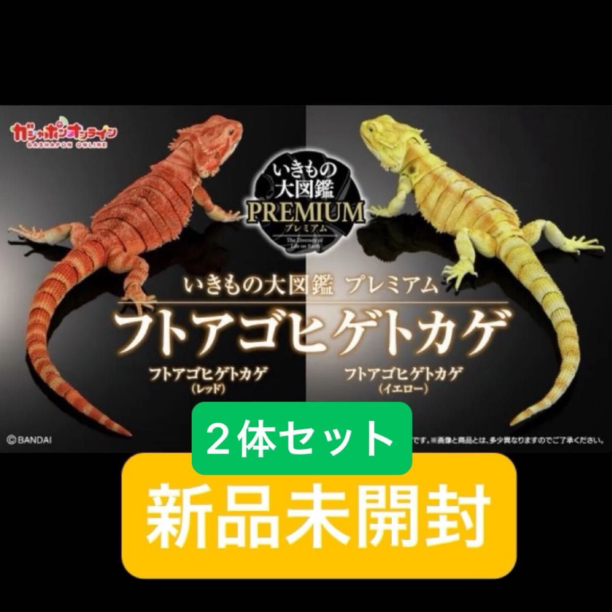 いきもの大図鑑プレミアム フトアゴヒゲトカゲ レッド イエロー