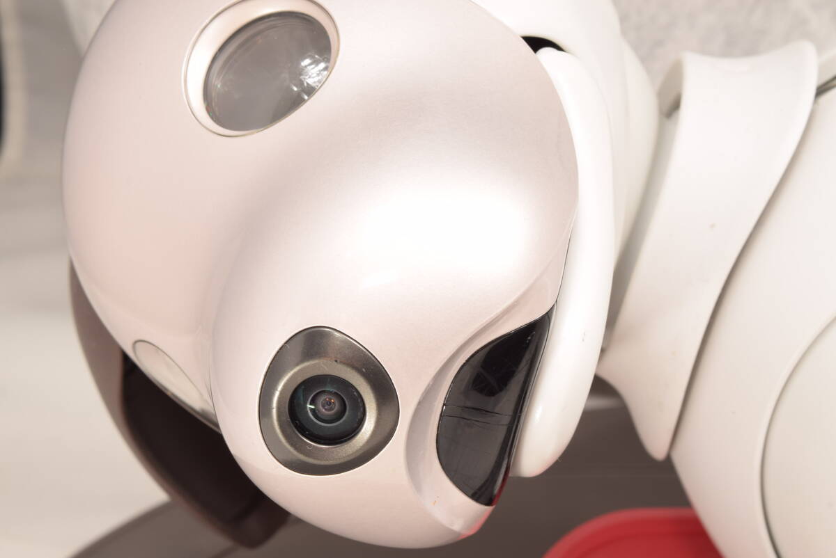 ドック A判定 限定首輪3色 ソニー SONY アイボ ERS-1000 AIBO 犬型
