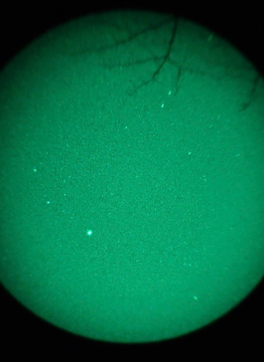 PVS-31 双眼微光ナイトビジョン（グリーン管）｜Yahoo!フリマ（旧