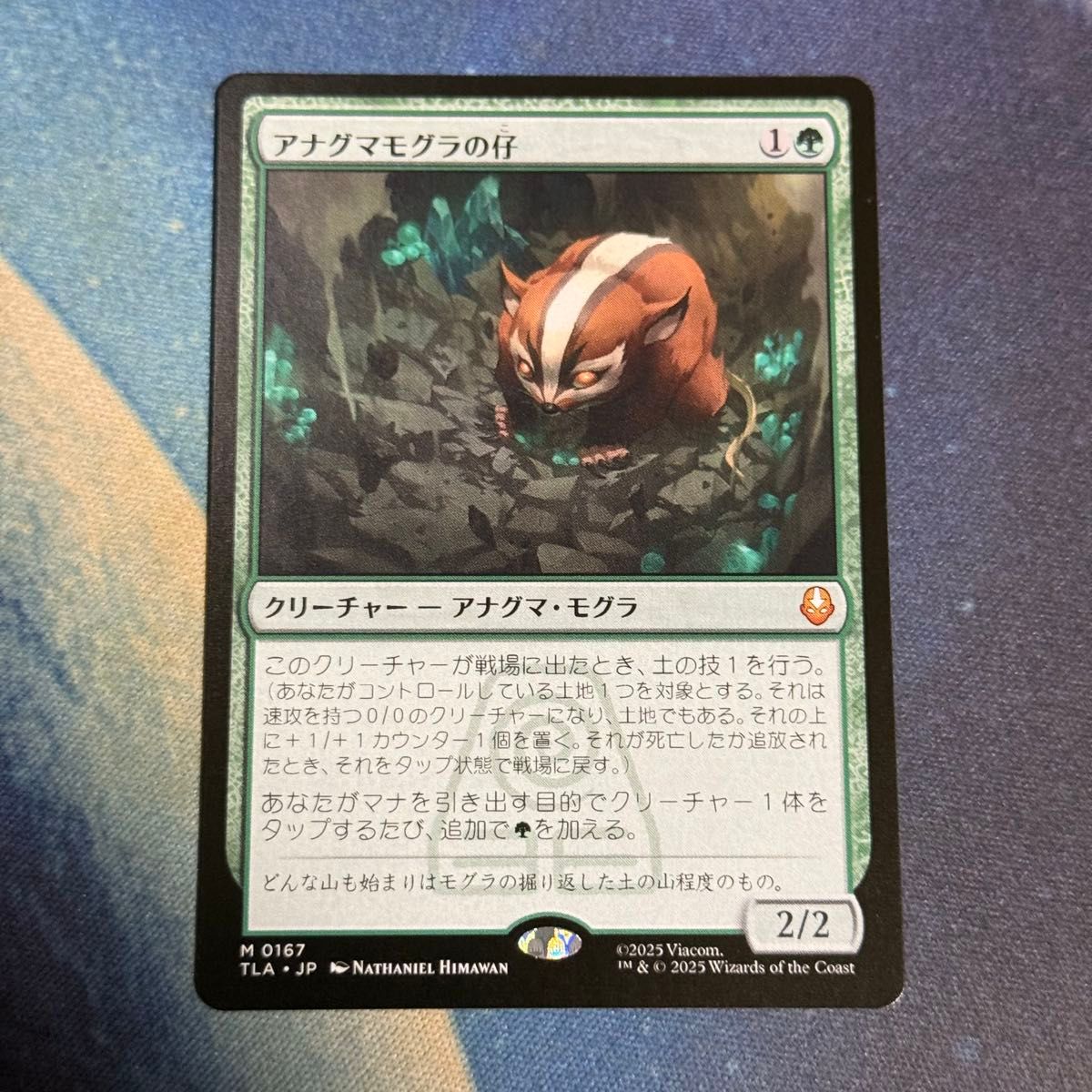 MTG アナグマモグラの仔 アバター 伝説の少年アン 日本語版 プレイド