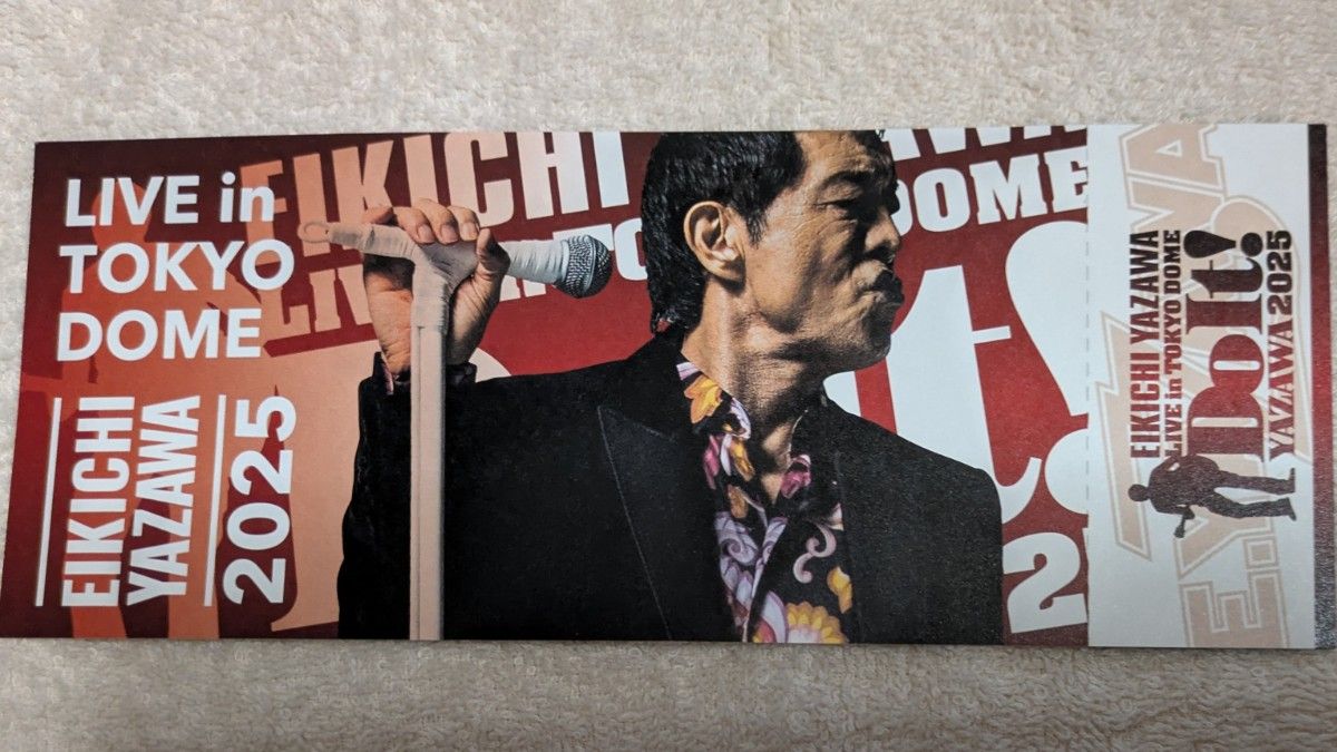 矢沢永吉 Do It 東京ドーム PSSグッズ フルセット ( タオル他 ) +