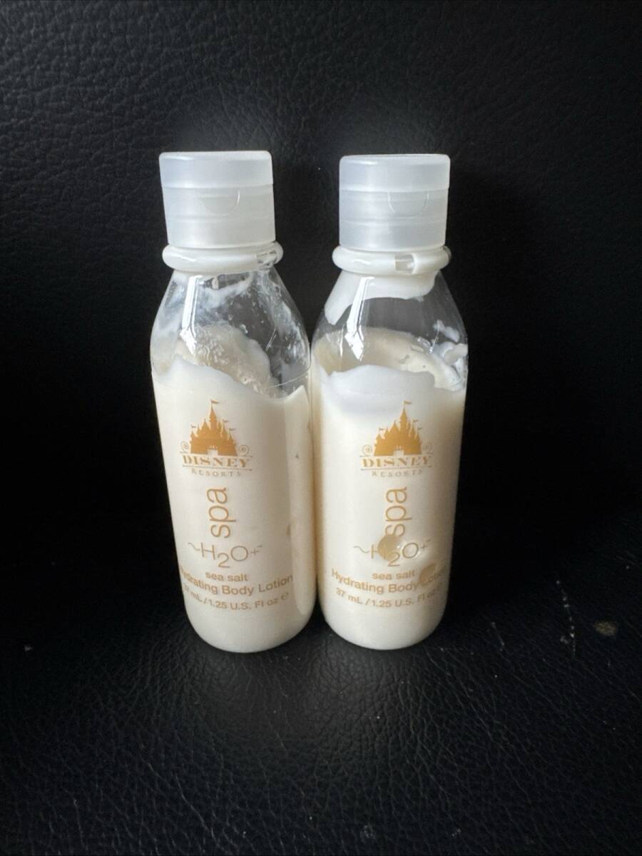 桂窯 伊藤桂楽 割引 楽焼 常慶写 「ホトトギス」 抹茶碗 茶道具 共箱