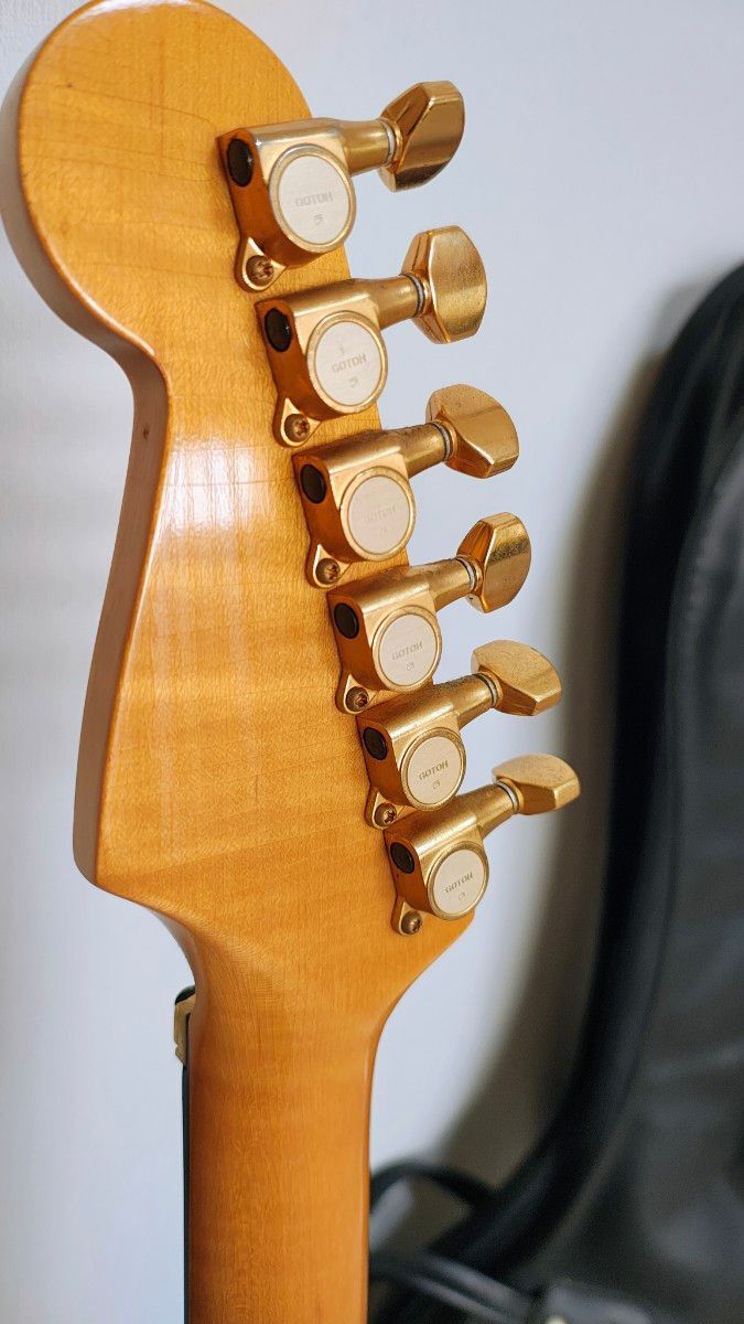 レア フェルナンデス FST-125 ラッカー塗装 エボニー Evans