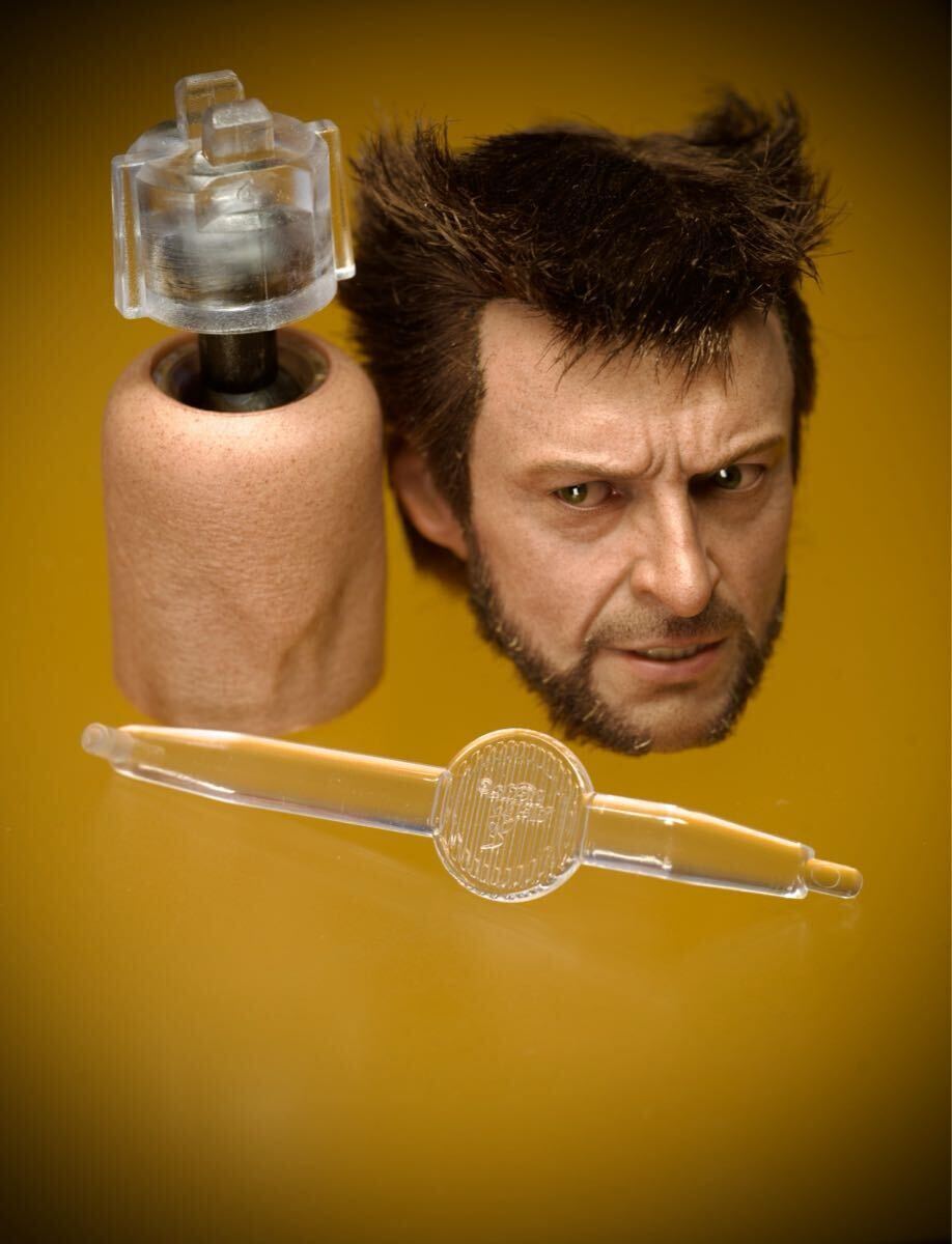 1/6 デッドプール 購入 ＆ ウルヴァリン Wolverineヘッド 植毛