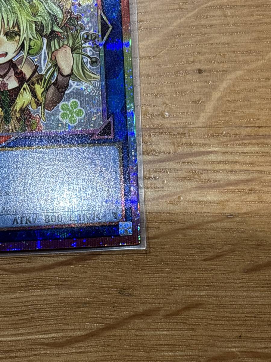 セラの蟲惑魔 プリズマ スタンプエディション 2枚セット 遊戯王 セラの