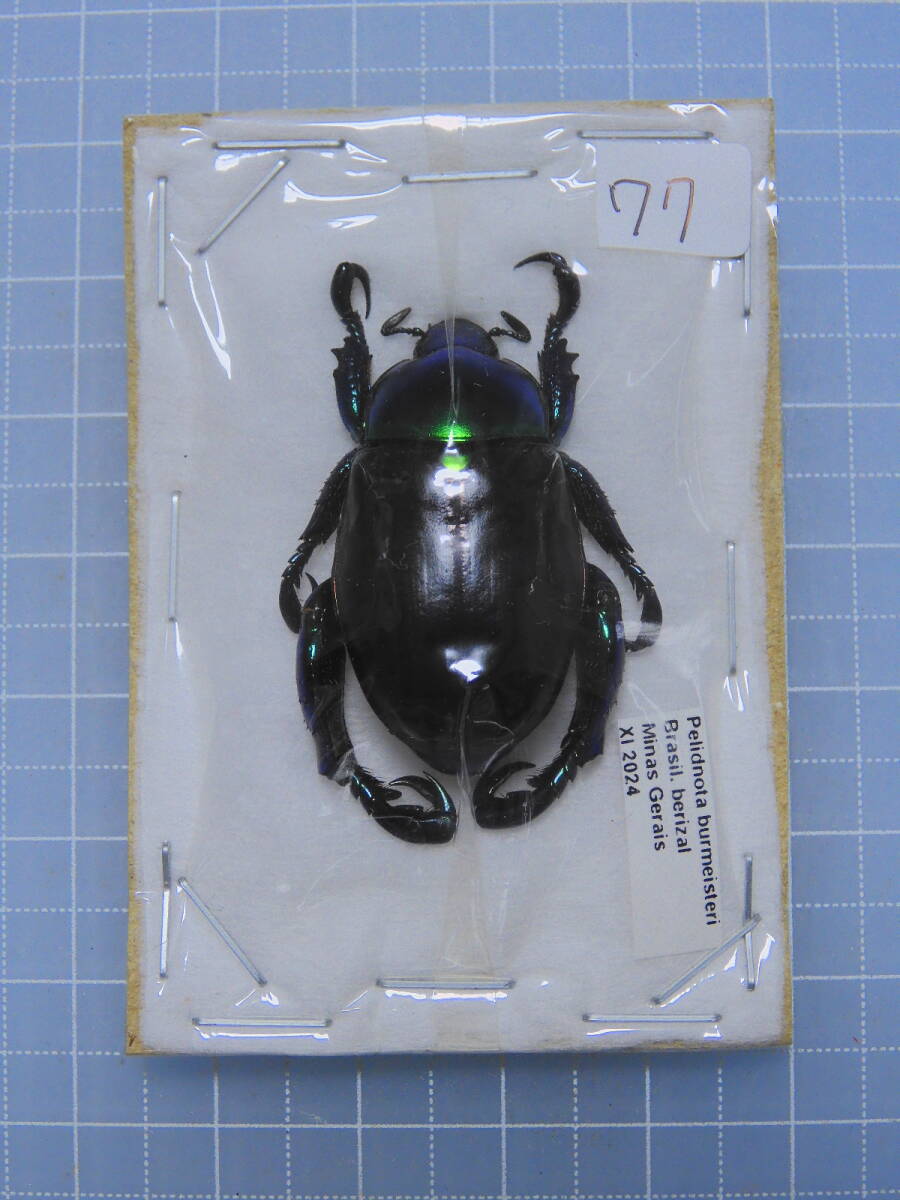 未使用品】LIXIL リクシル 防カビ仕様 BL-SC75154-L 卸売