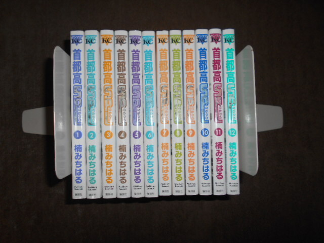 卸売 まんまる アニマル 動物 12種類セット