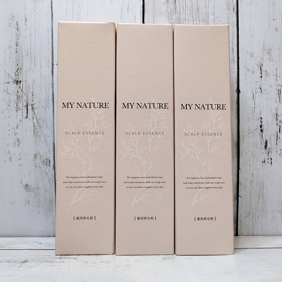 真作】//名草逸峰/山水帆船画賛/軸先紫檀/桐極箱付/布袋屋掛軸HH-822