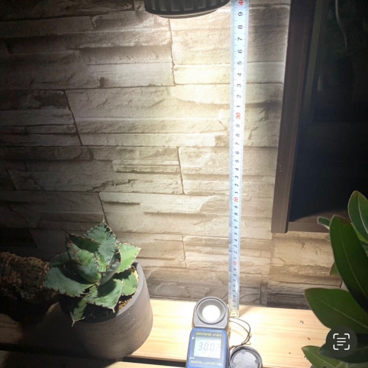 15W植物育成ライトGrowLight 6000K 節約 2個 ライトクリップ2個