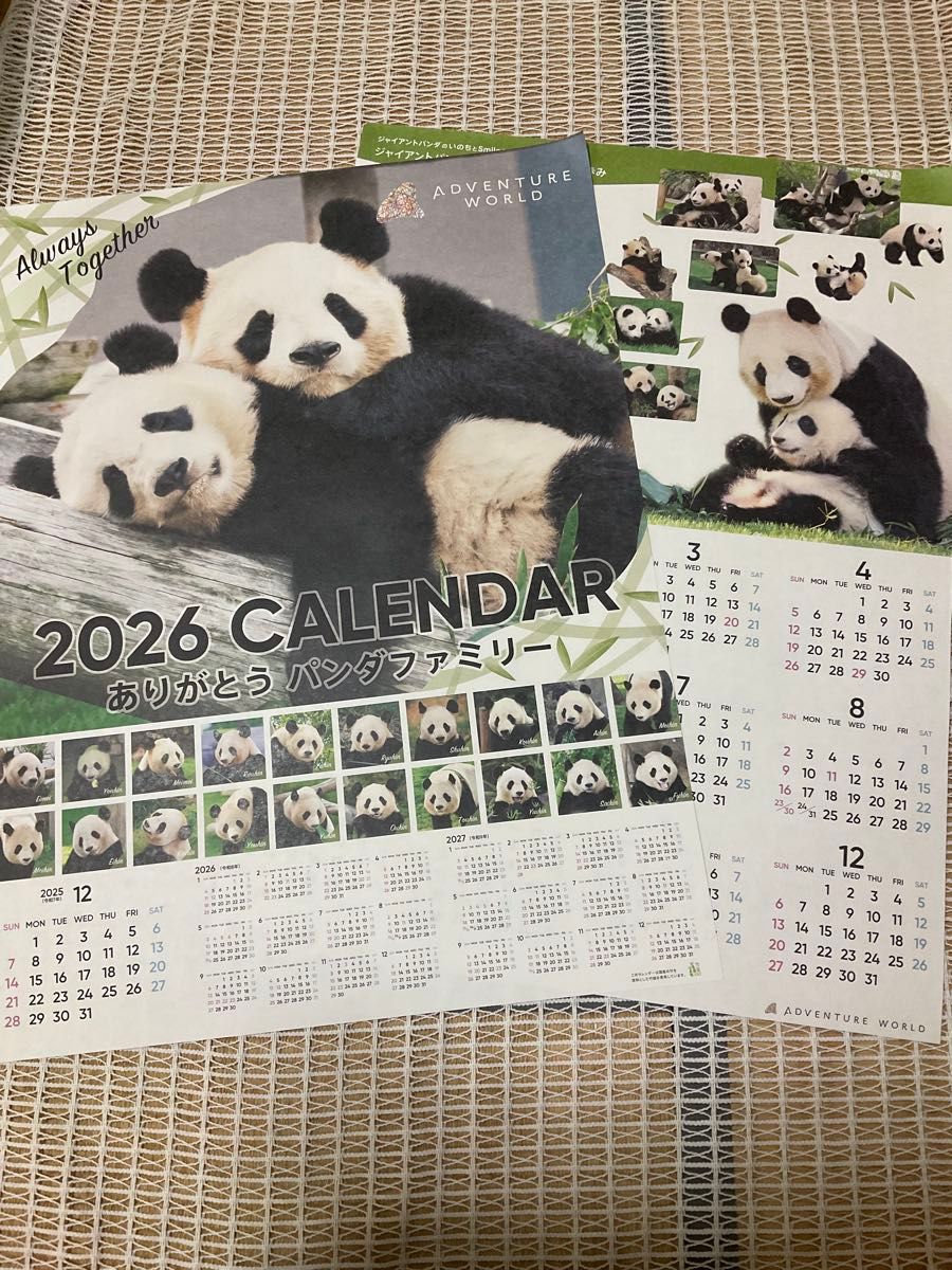 1枚型2026年2027年パンダカレンダー 2種類 アドベンチャーワールド 楓