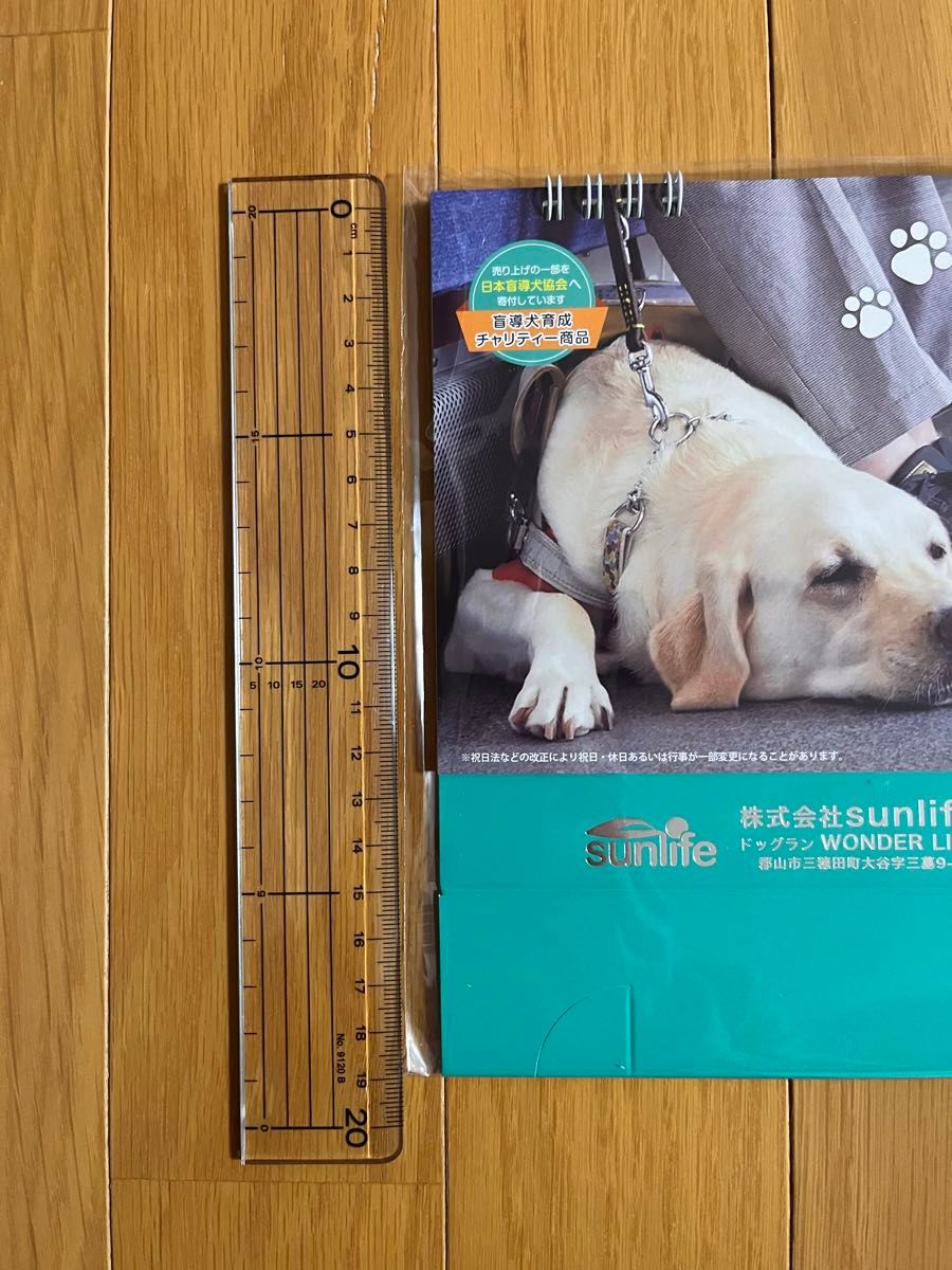 卓上カレンダー 2026年 日本盲導犬協会 チャリティーカレンダー｜Yahoo