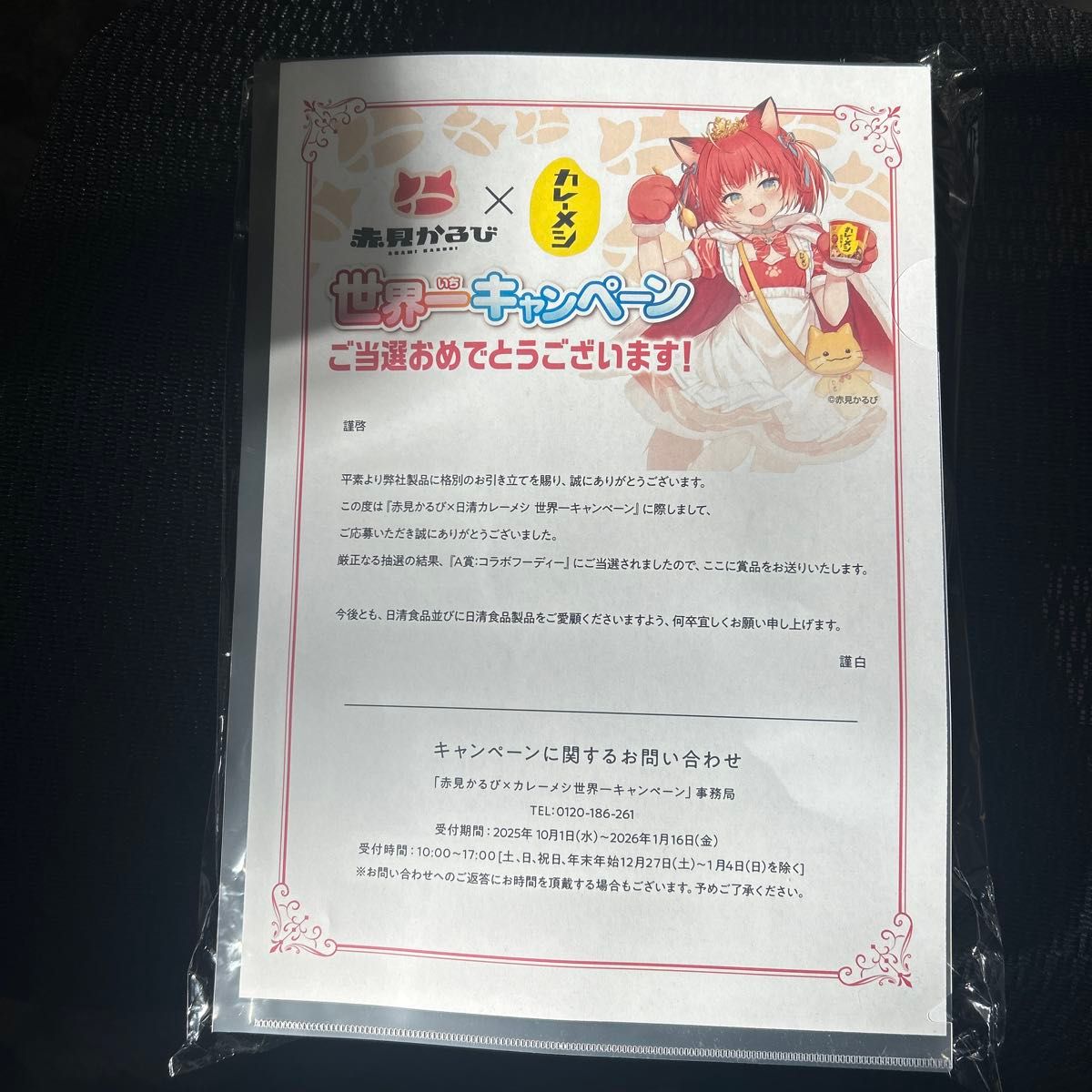 赤見かるび コラボフーディー コラボ フード付きパーカー 日清