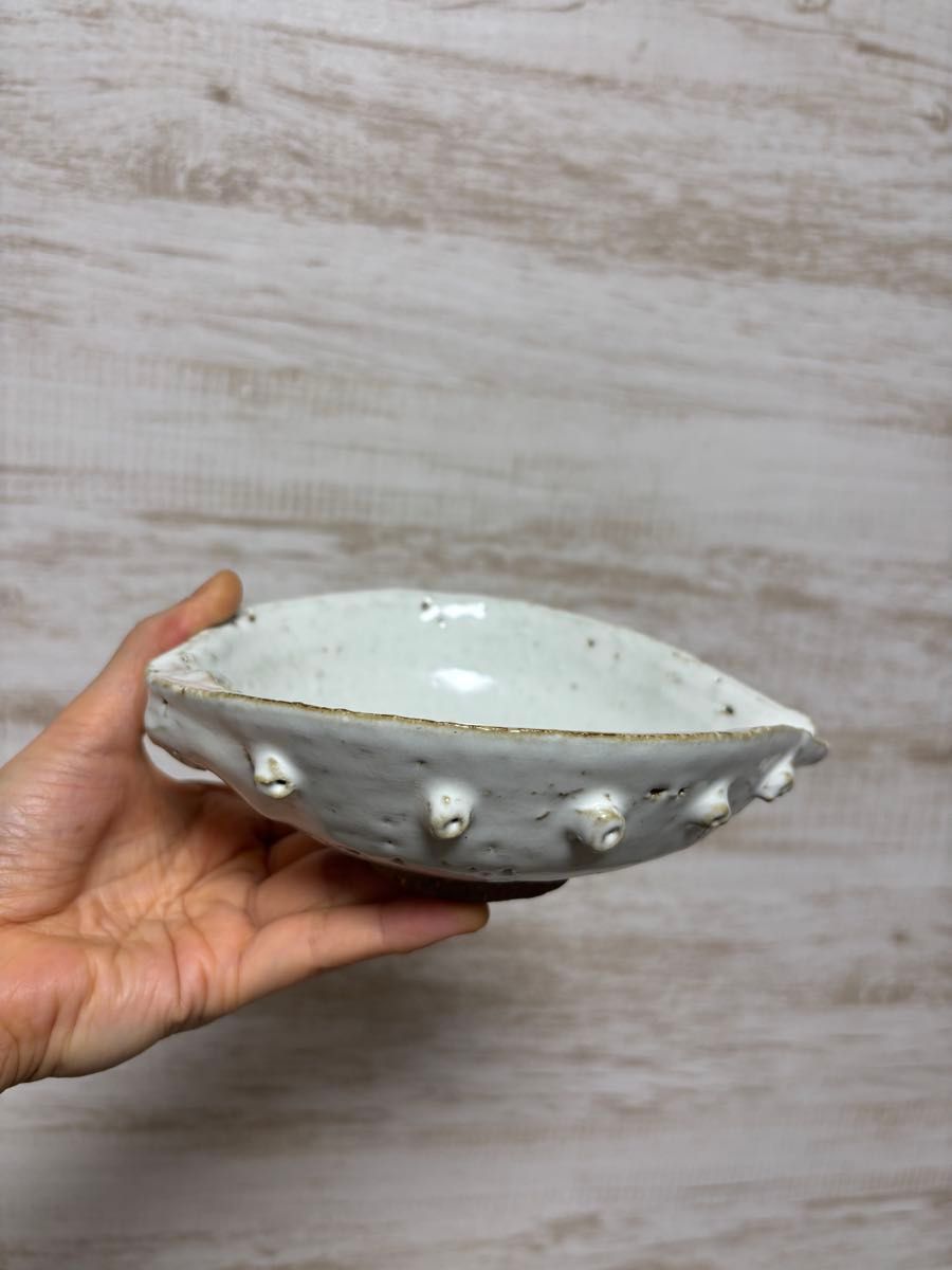 大華山鳥雲窯 納富鳥雲 萩焼 鮑形 向付 片口 鉢 小鉢 皿 白萩 鬼萩 白