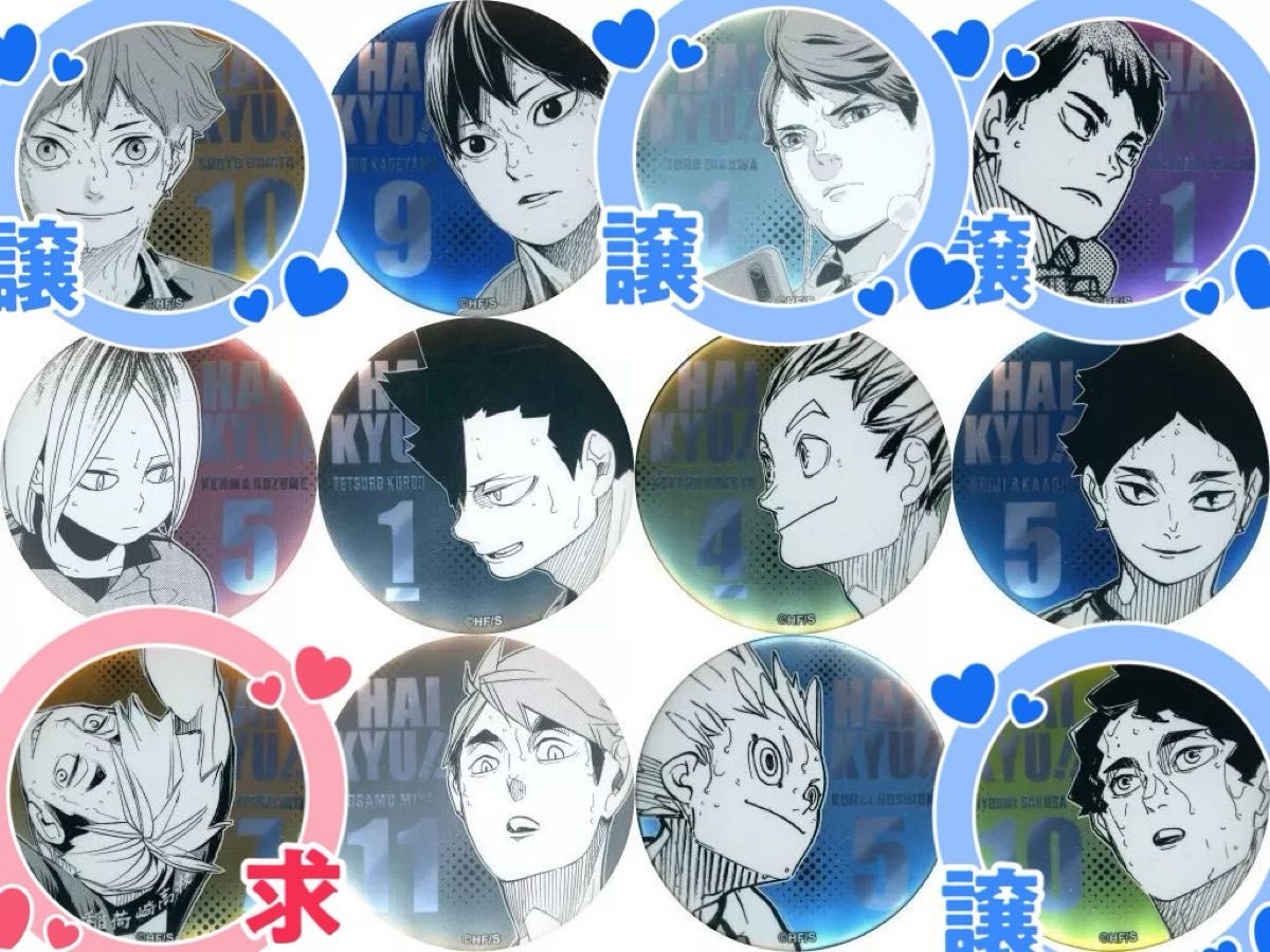 ハイキュー FAN PARK(ファンパーク) デコレクション缶バッジ 第3弾