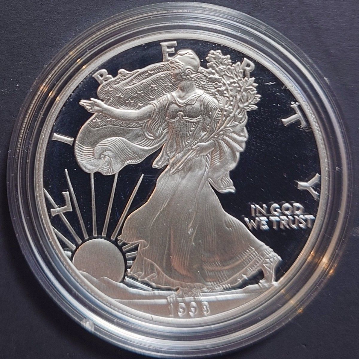 ぽ*ん様 訳あり ウォーキングリバティイーグルリバース銀貨1オンス