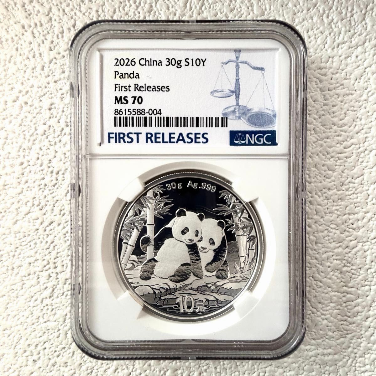 訳あり 2013年 中国 10元 パンダ 銀貨 NGC MS69 準最高鑑定 訳あり