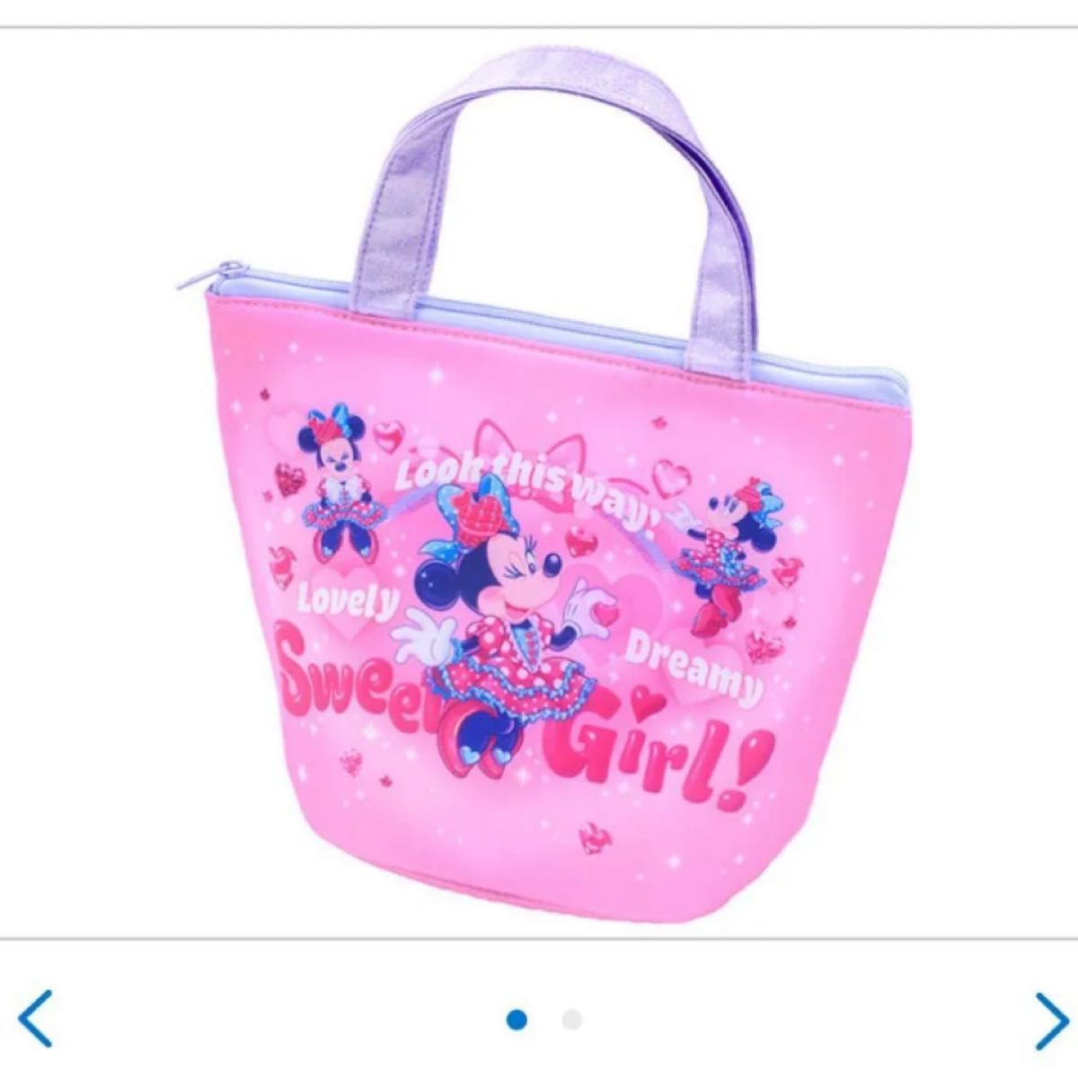 ディズニー パルパルーザ ミニー ファンダーランド ランチケース