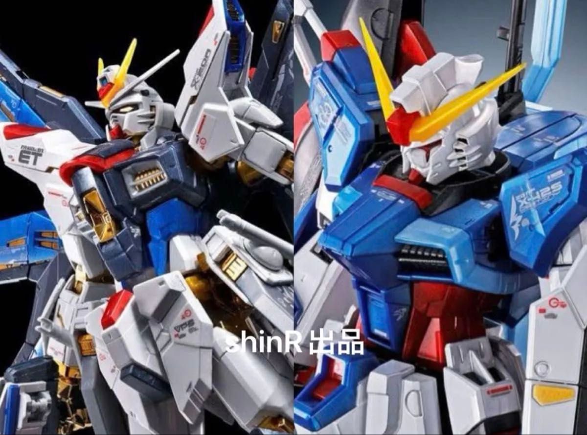 最安出品 2体セット RG ストライクフリーダムガンダム&デスティニー