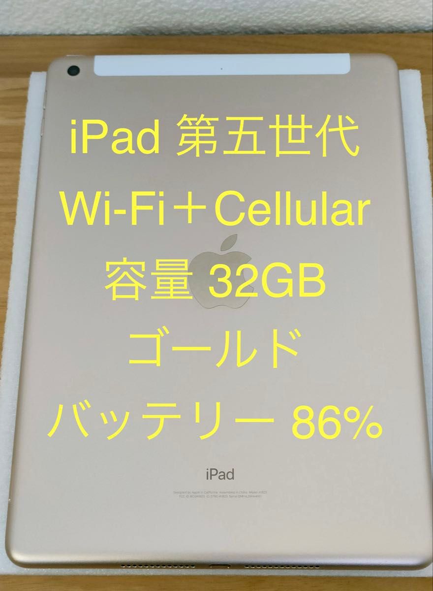 iPad 第5世代 Wi-Fi + Cellular 32GB ゴールド MPG42J/A A1823 動作