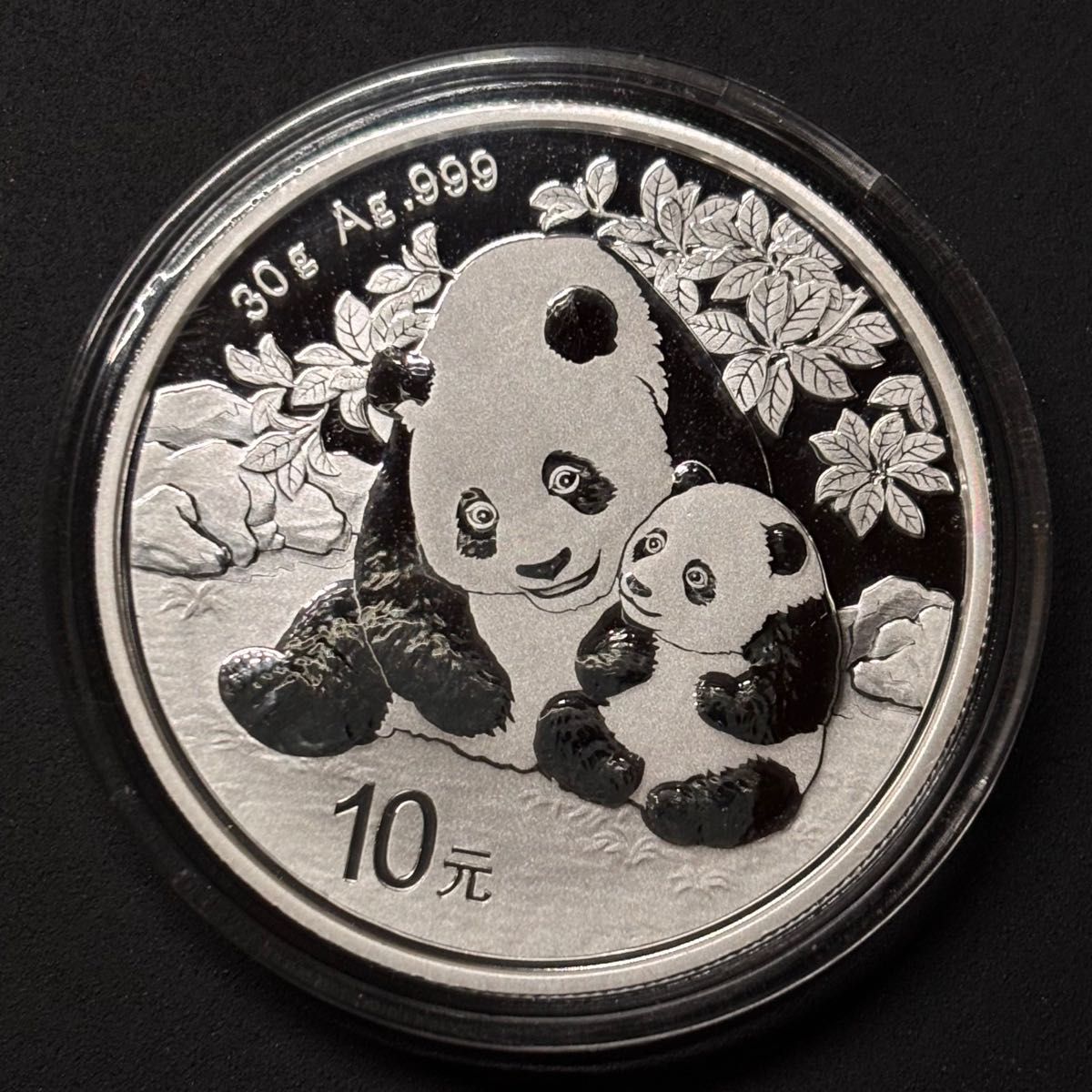 2024 中国 パンダ銀貨 10元 1オンス（30g）純銀 SV999 野口コイン