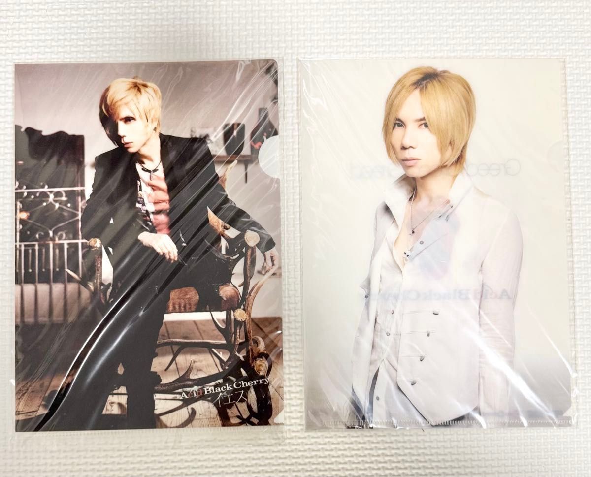 acid black cherry クリアファイル/ポストカード/メモパッド/ツアー