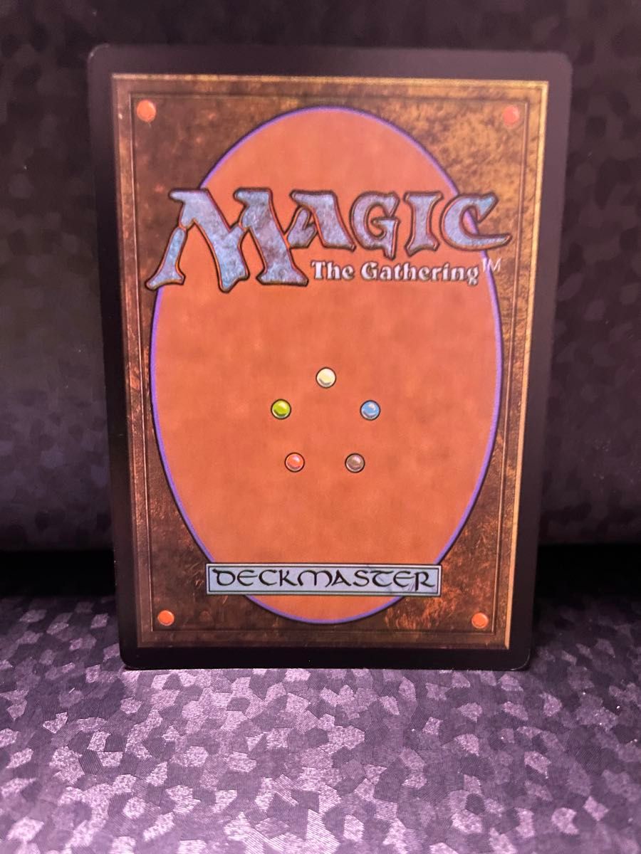 MTG 旅するチョコボ/Traveling Chocobo ボーダーレス【Foil】(406)EN