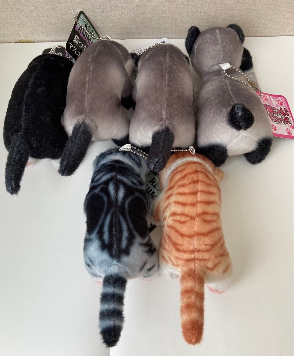 了解にゃんこマスコットBC リアルアニマル猫つまんでマスコットBC