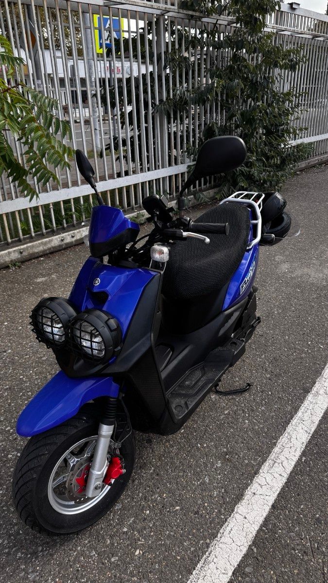 PS250 ヘッドライトカバー ストーンガード ホンダ BW'S BIG RUCKUS