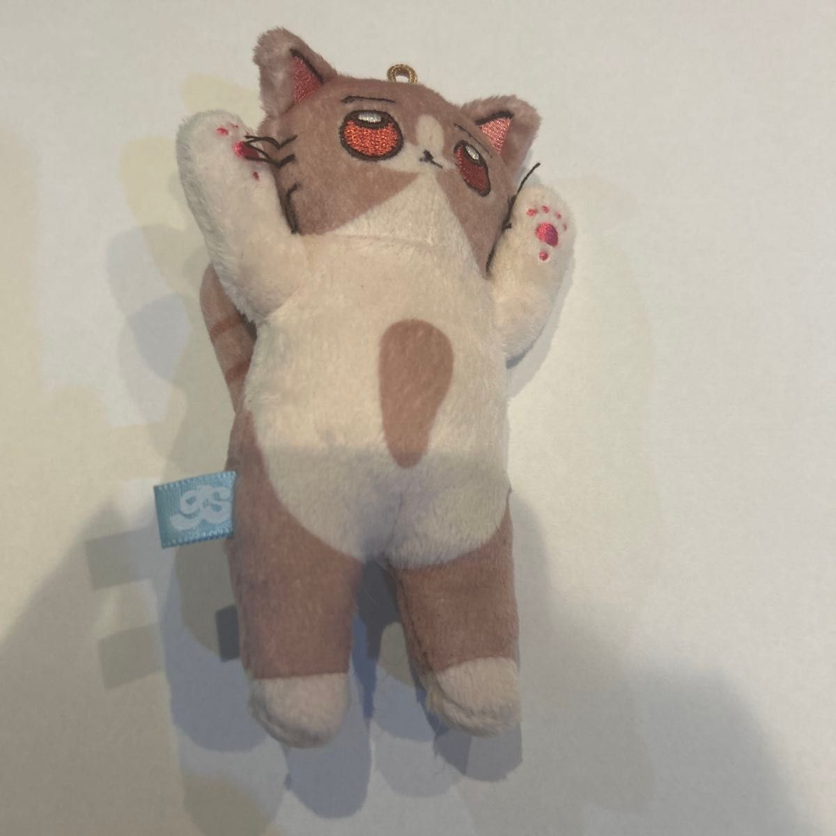 ずっと真夜中でいいのに ずとまよ しょがスト ショガスト アウトレット