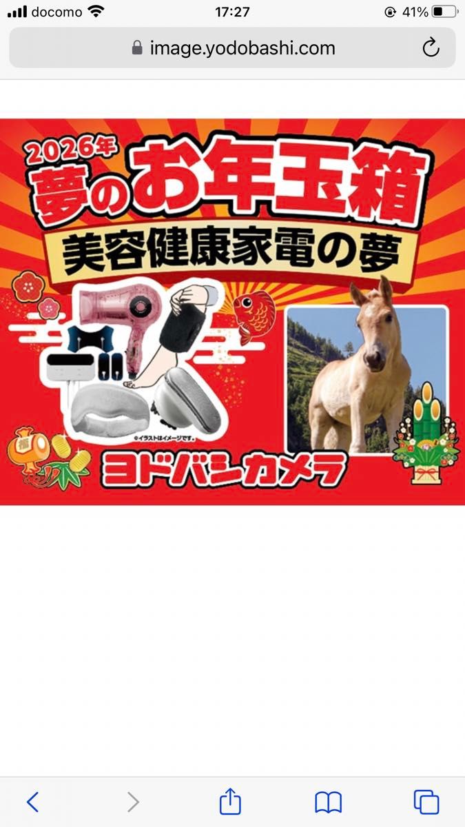 ヨドバシカメラ 夢のお年玉箱2026 美容健康家電の夢｜Yahoo!フリマ（旧