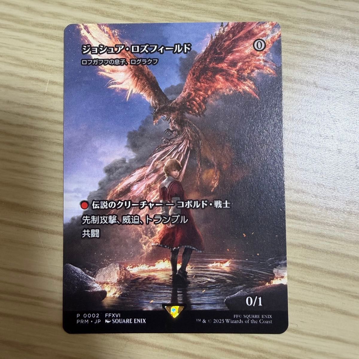 貴重】 ジョシュア・ロズフィールド Joshua Rosfield プロモ ボーダー