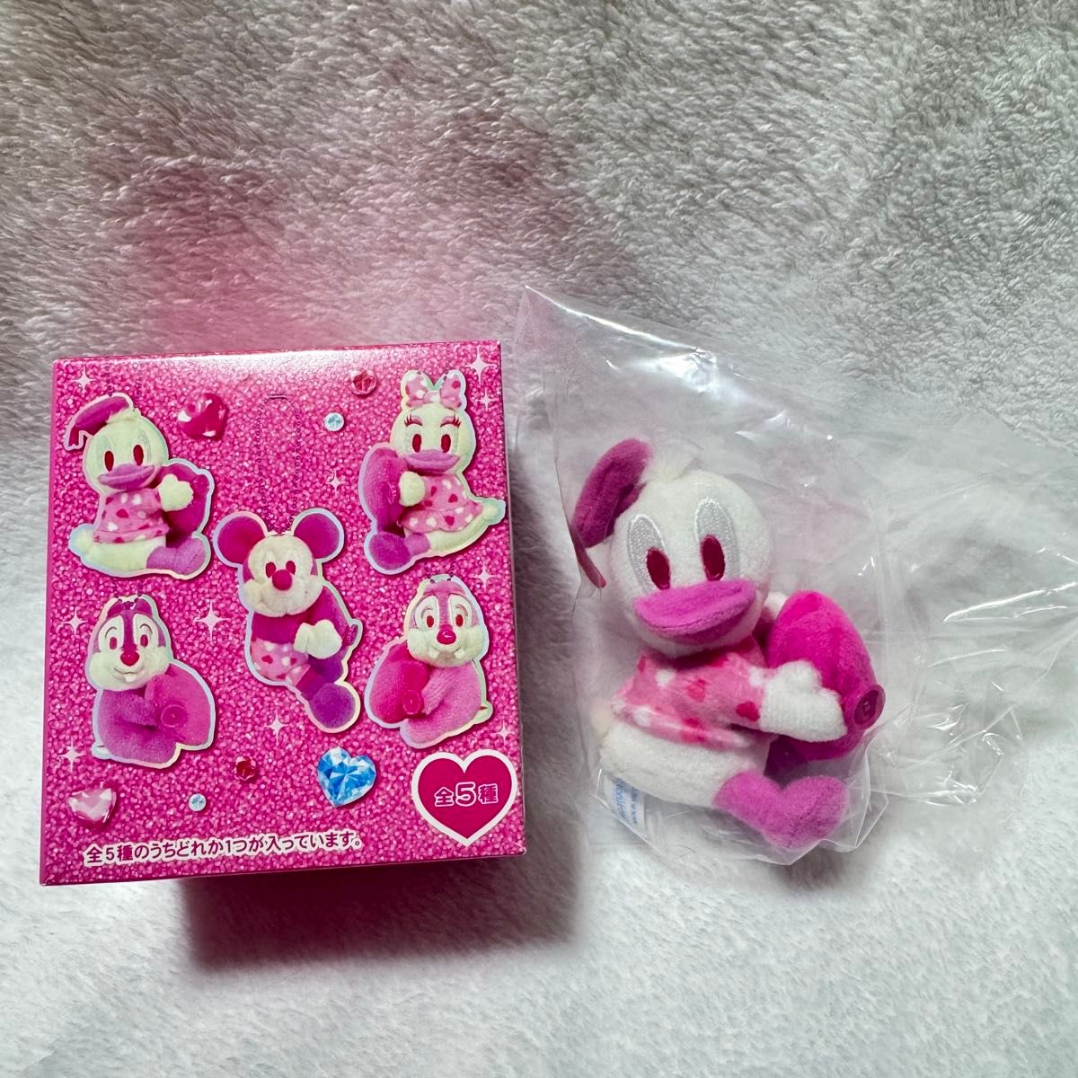 ディズニー パルパルーザ ミニーのファンダーランド 2026 ドナルド