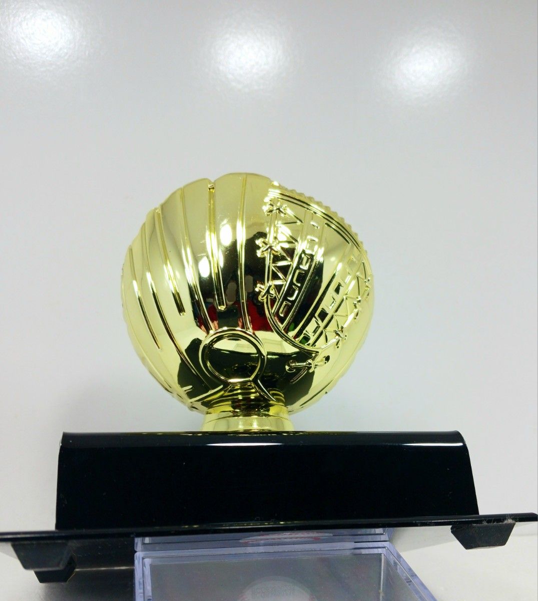 大谷翔平 エンゼルス 2023 AL MVP記念 ボールディスプレイケース 楽天