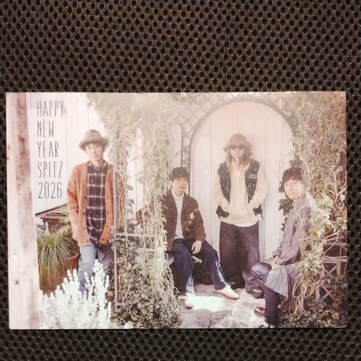 中古）スピッツ ファンクラブ2026年賀状+ 会報vol 134（2025/11