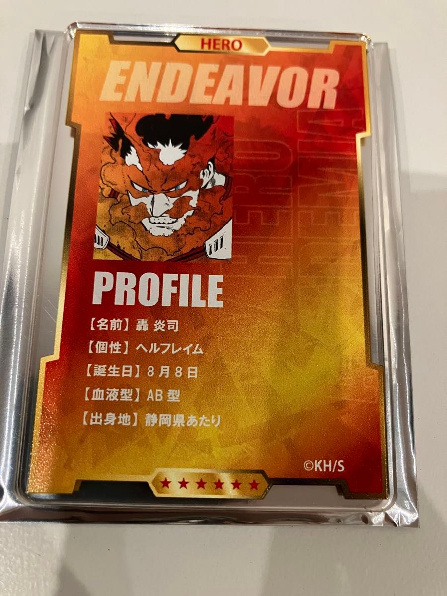 ヒロアカ ステータスカードコレクション 第2弾 エンデヴァー 僕の