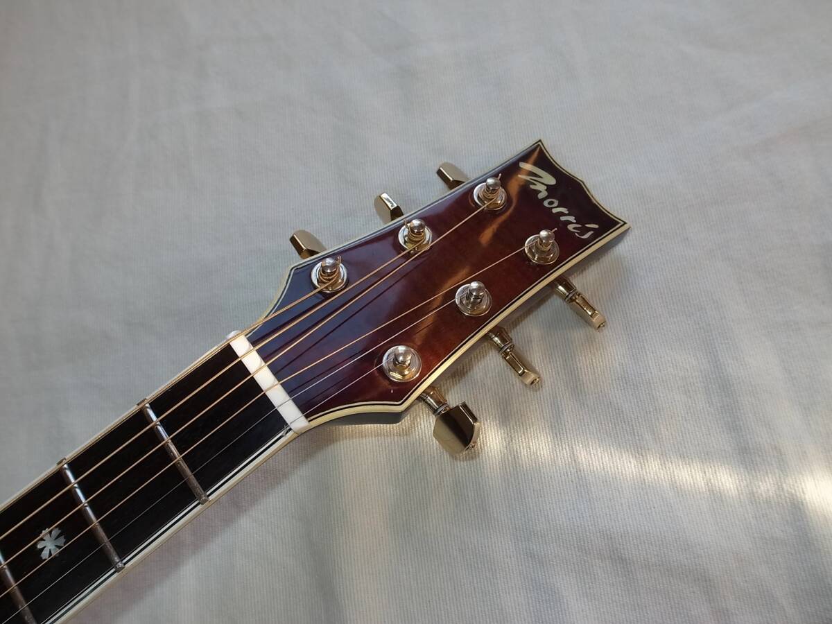 超レア '83日本製MORRIS Dione DN-80D アーチトップエレアコ VG寺田