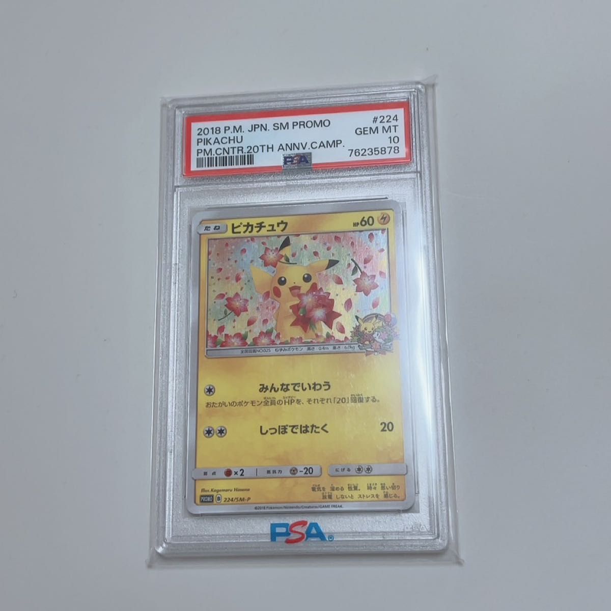 ポケモンカード ピカチュウ みんなでいわう プロモ 224/SM-P｜Yahoo