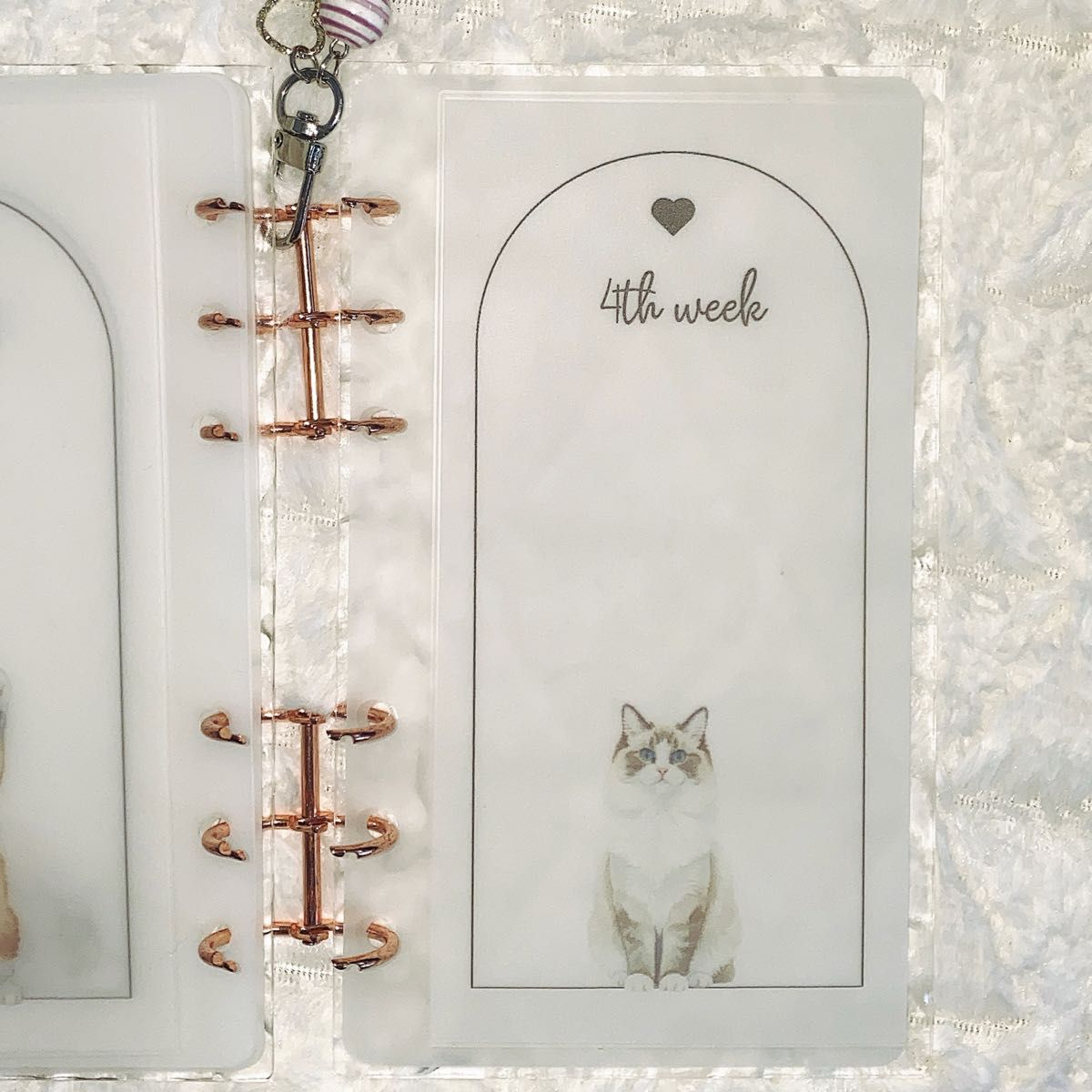 savingchallengeリフィル ねこ weekly A6 バインダー貯金｜Yahoo