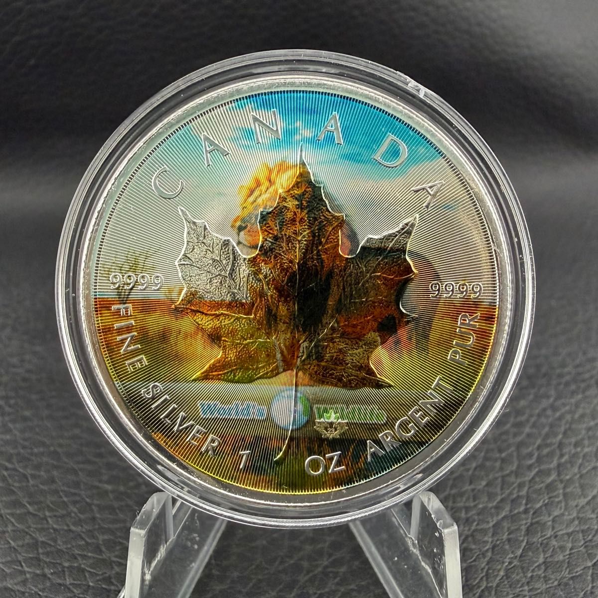 世界100枚限定 カナダ メイプルリーフ 銀貨 カラー 野獣ライオン 1