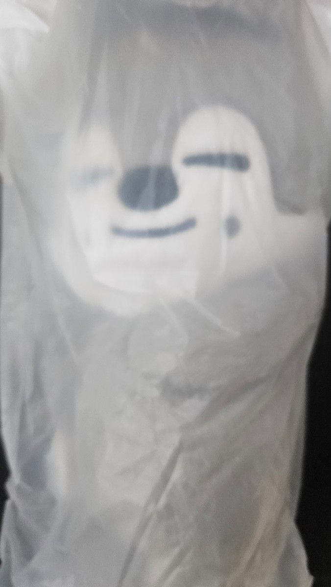 Stray Kids celebrATE プラッシュバッグ ウルフチャン リスパ｜Yahoo