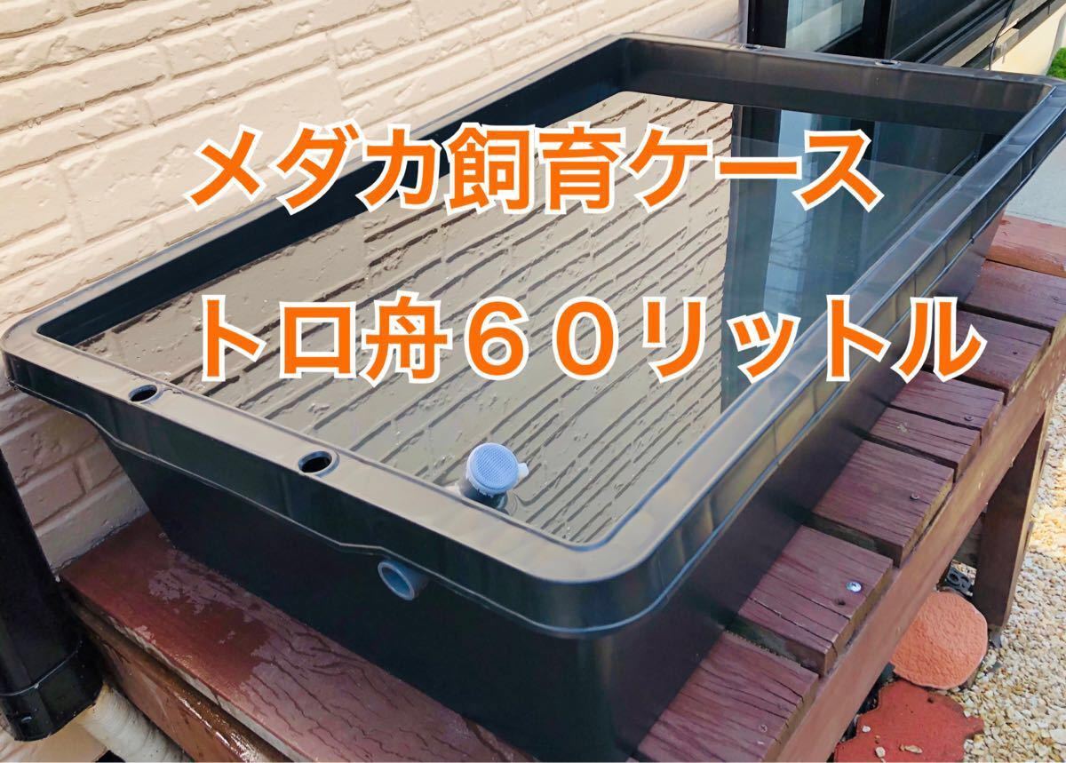 メダカ飼育ケース【トロ舟60リットル】｜Yahoo!フリマ（旧PayPayフリマ）