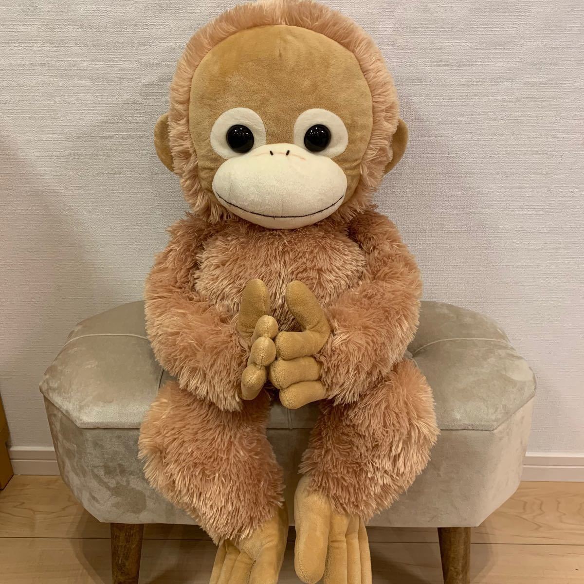 ベイビーココ 特大 ベイビーココ 特大 Coco - 特大 ベイビーココの通販