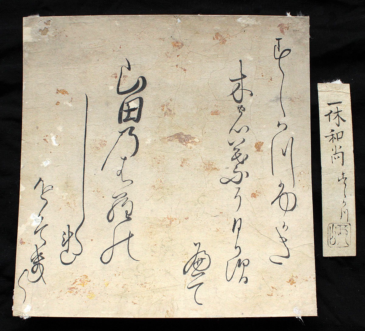 大徳寺 【真作】仁和寺 森諦圓【大幅 静】◇紙本◇共