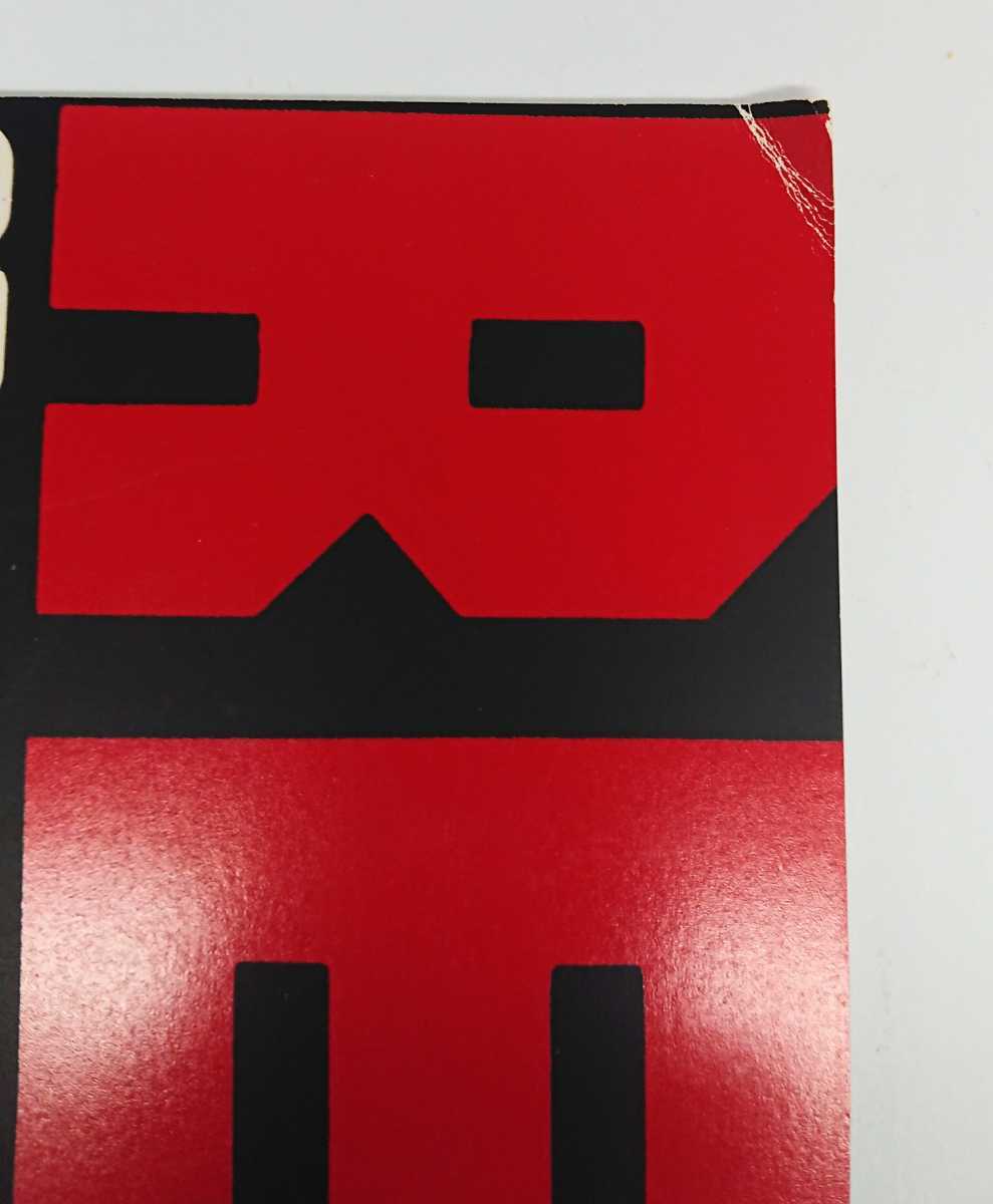 REBECCA レベッカ ライブツアーファイナル 87-88 パンフレット NOKKO