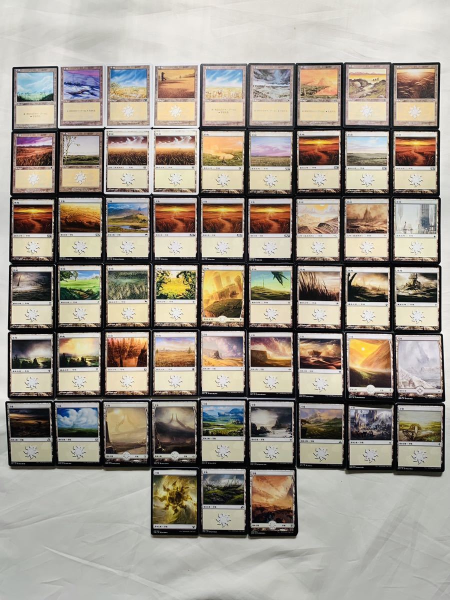 MTG 英語 基本地形 基本土地 全コンプリート 3ED〜LTR コレクション向