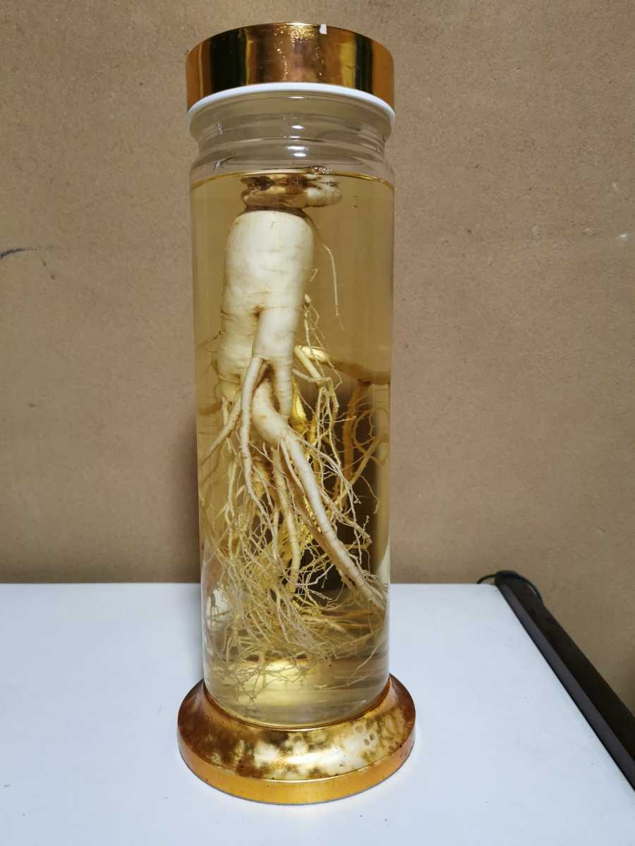 値段相談可】高麗人参酒 希少古酒 ②高麗人参酒 朝鮮人参酒 古酒 30年