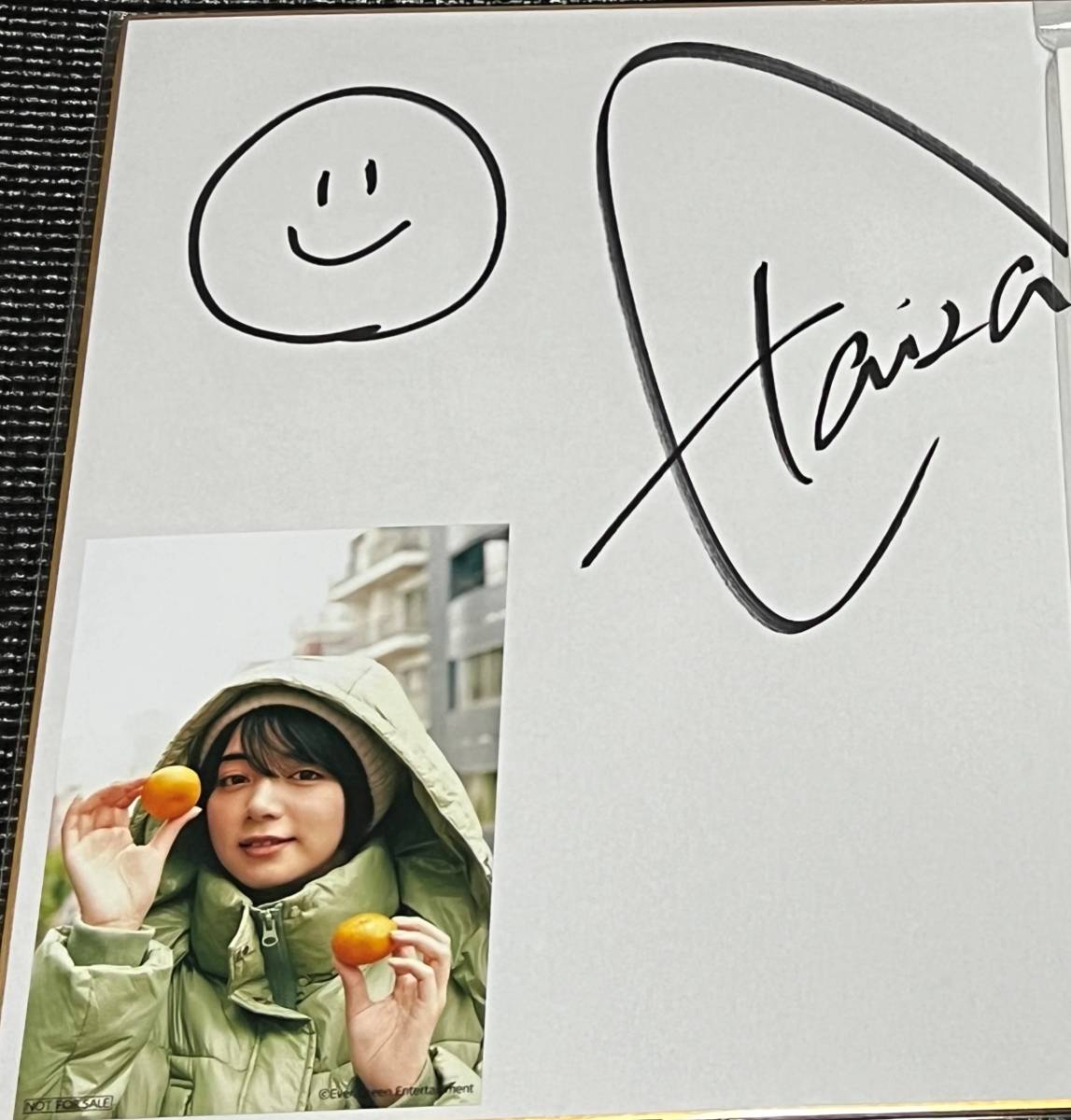 未開封】池田エライザ カレンダー2018 サイン入り 未開封】池田