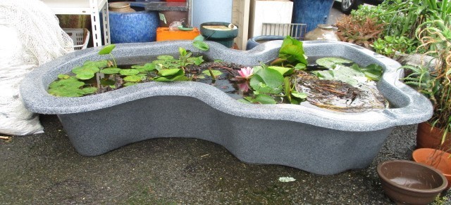 Yahoo!オークション - mic みかげ調プラ池 金魚 メダカ 鉢 水槽 プラ池