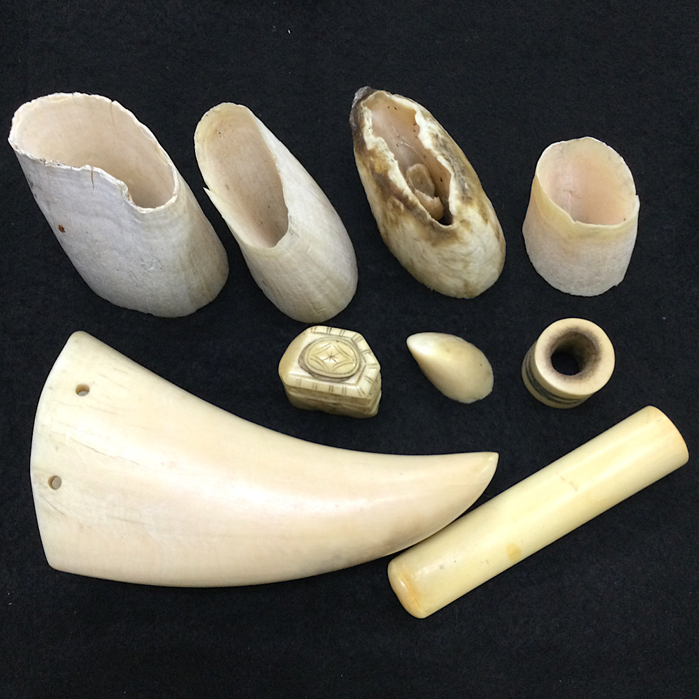 鯨の歯 約20cm 約440g クジラの歯 鯨歯